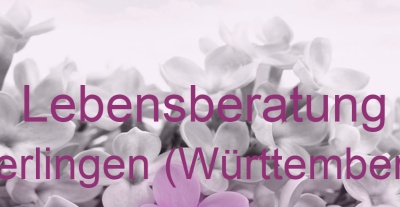 Lebensberatung Gerlingen (Württemberg) | Top-Experten für Kartenlegen, Wahrsagen, Hellsehen, Zukunftsdeutung.